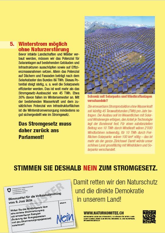 Flyer Stromgesetz Nein
