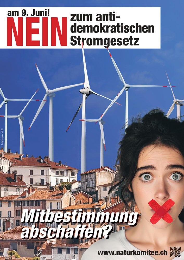 Flyer Stromgesetz Nein