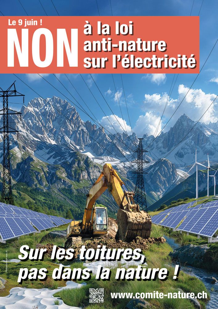 Flyer Loi Sur Lelectricite